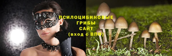 хмурый Белокуриха