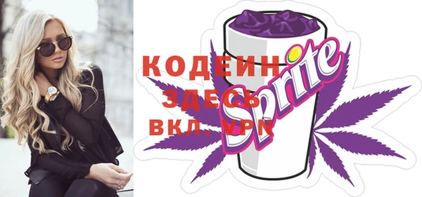 хмурый Белокуриха