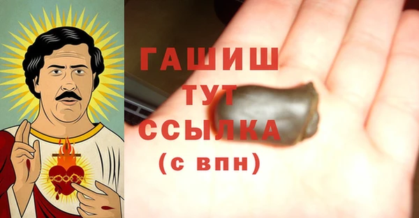 хмурый Белокуриха