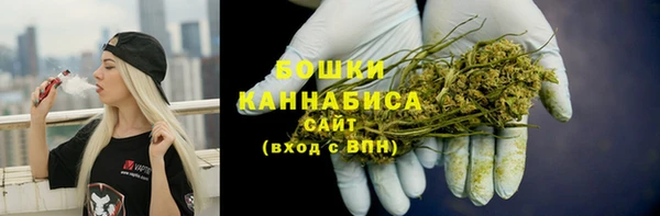 хмурый Белокуриха