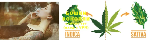 хмурый Белокуриха
