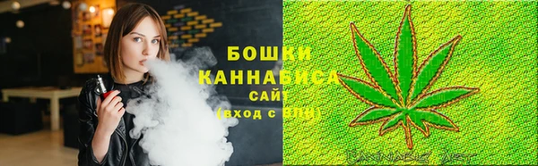 хмурый Белокуриха