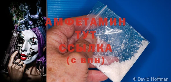 хмурый Белокуриха