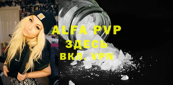 хмурый Белокуриха