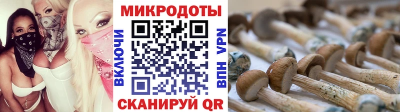 Галлюциногенные грибы Cubensis  Городовиковск 