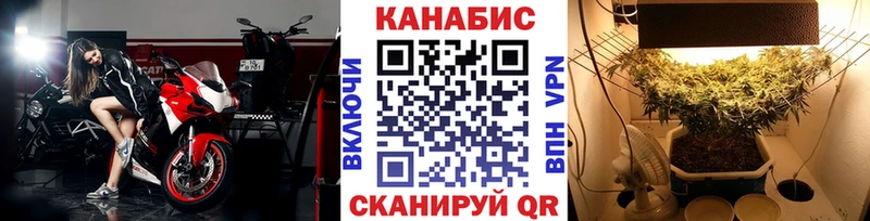 купить наркотик  Городовиковск  мориарти какой сайт  Бошки марихуана Bruce Banner  blacksprut ссылка 